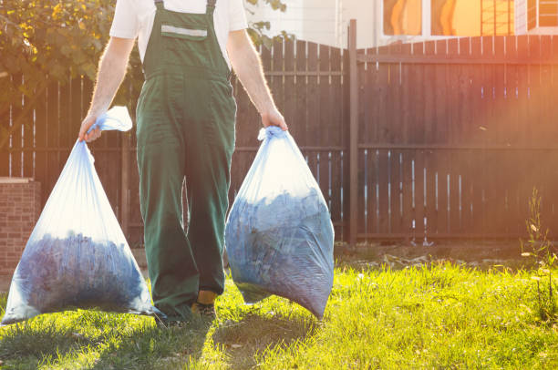 Best Electronics Removal Services  in Viola, NY