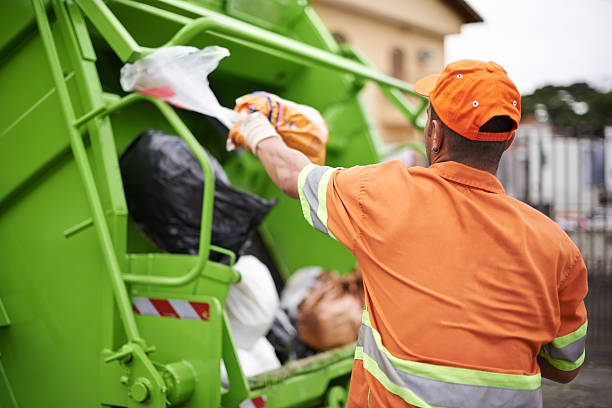 Yard Cleanup Services in Viola, NY